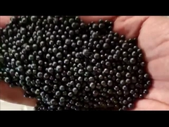 خط إنتاج الأسمدة العضوية