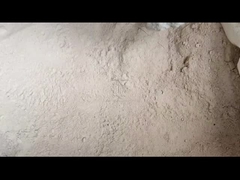 حجر القرص (((1)