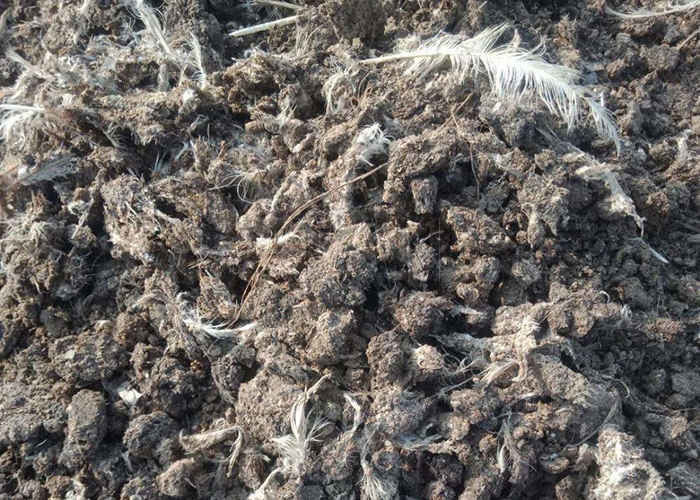 طراز آلة الزحف في تخمير السماد العضوي للسماد النباتي للتحلل الهوائي للدفن