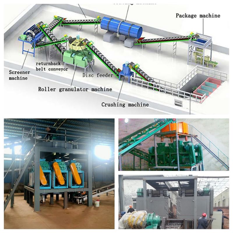 Flexible Solution for Different Fertilizer Formulas Fertilizer Production Line with Dry Granulation Technology
